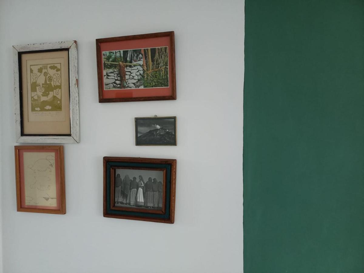 Rincon De Luz Cuernavaca Apartment Екстериор снимка